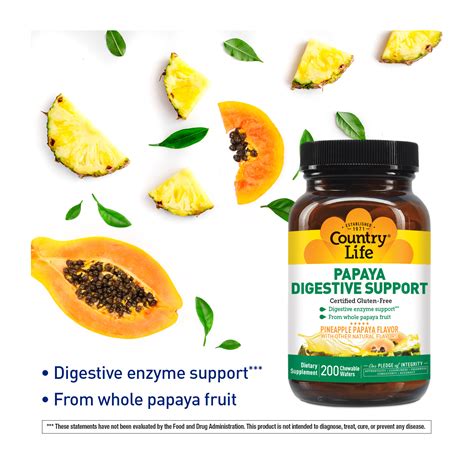 The Digestive Enzymes in D Magic Plux Papaya: A Key to Healthy Digestion